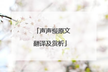声声慢原文翻译及赏析