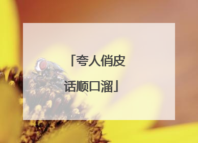 夸人俏皮话顺口溜