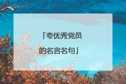 夸优秀党员的名言名句