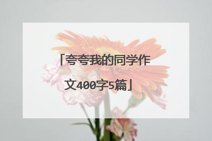 夸夸我的同学作文400字5篇