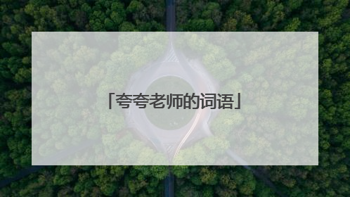 夸夸老师的词语