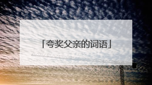夸奖父亲的词语