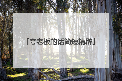 夸老板的话简短精辟