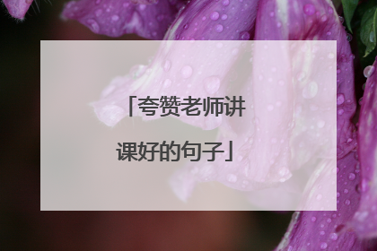 夸赞老师讲课好的句子