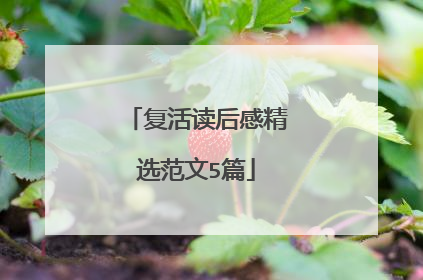 复活读后感精选范文5篇