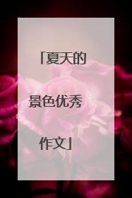 夏天的景色优秀作文