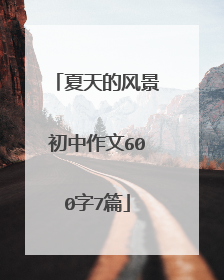 夏天的风景初中作文600字7篇