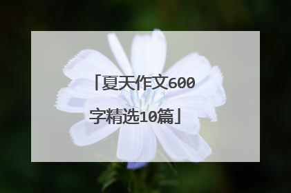 夏天作文600字精选10篇