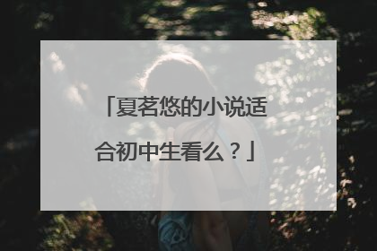 夏茗悠的小说适合初中生看么?