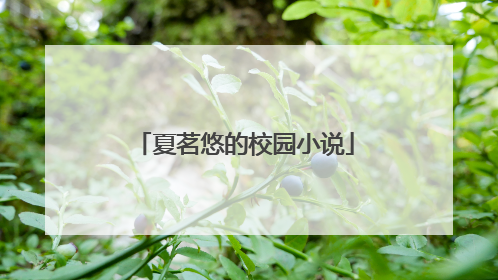 夏茗悠的校园小说