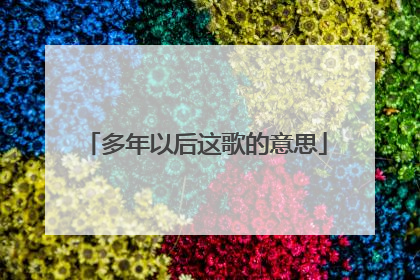 多年以后这歌的意思