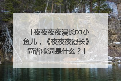 夜夜夜夜漫长DJ小鱼儿，《夜夜夜漫长》简谱歌词是什么？