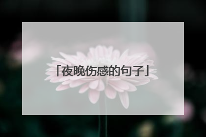 夜晚伤感的句子