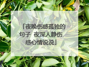 夜晚伤感孤独的句子 夜深人静伤感心情说说