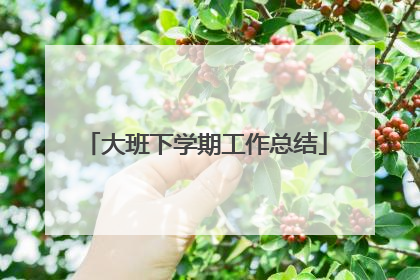 大班下学期工作总结