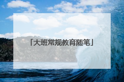 大班常规教育随笔