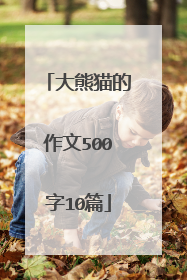 大熊猫的作文500字10篇