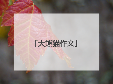 大熊猫作文