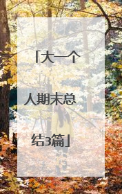 大一个人期末总结3篇