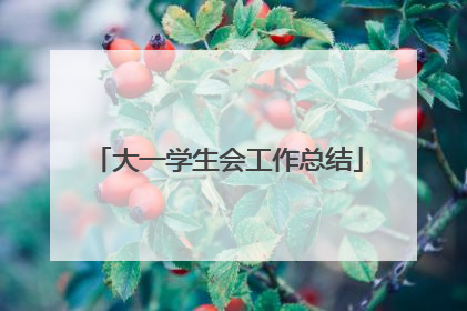大一学生会工作总结