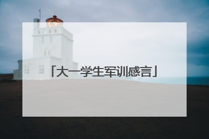 大一学生军训感言