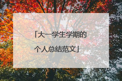 大一学生学期的个人总结范文