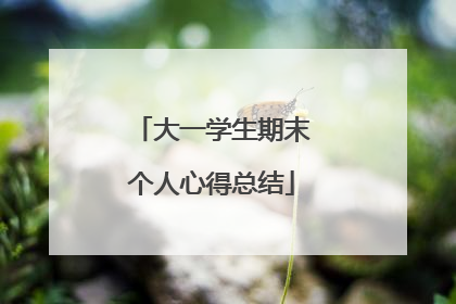 大一学生期末个人心得总结
