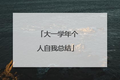 大一学年个人自我总结