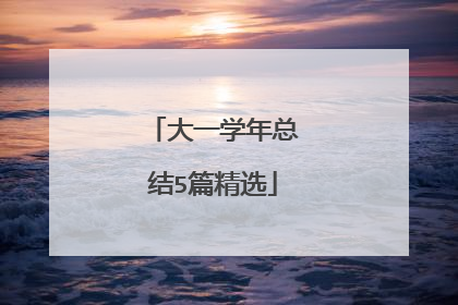 大一学年总结5篇精选