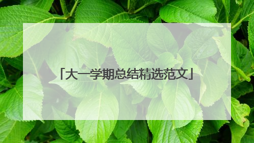 大一学期总结精选范文