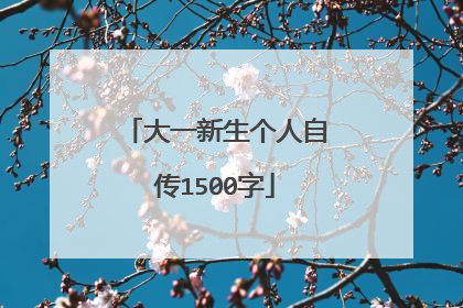 大一新生个人自传1500字