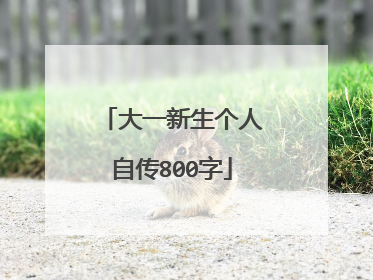 大一新生个人自传800字
