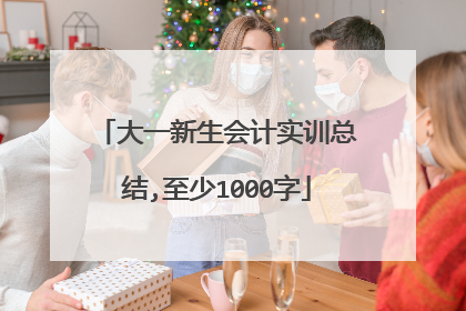 大一新生会计实训总结,至少1000字