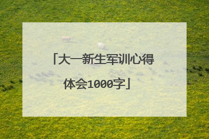 大一新生军训心得体会1000字