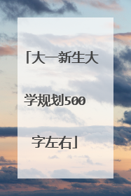 大一新生大学规划500字左右