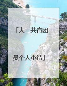 大二共青团员个人小结
