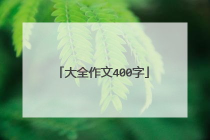 大全作文400字