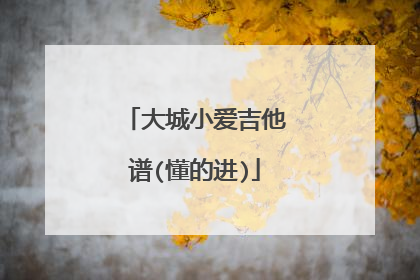 大城小爱吉他谱(懂的进)