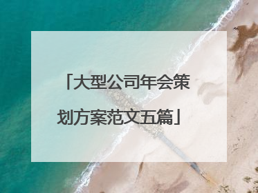 大型公司年会策划方案范文五篇