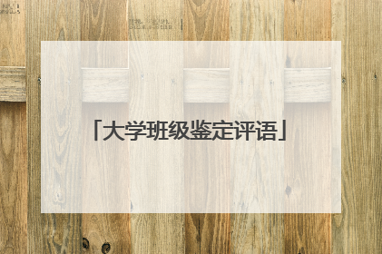 大学班级鉴定评语