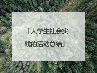 大学生社会实践的活动总结