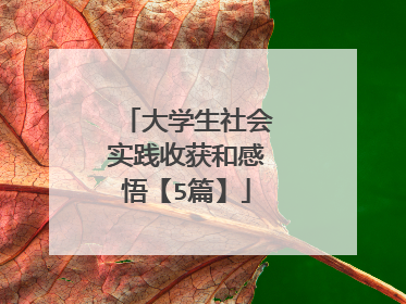 大学生社会实践收获和感悟【5篇】