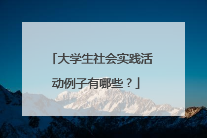大学生社会实践活动例子有哪些？