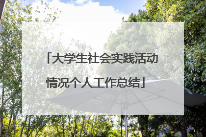 大学生社会实践活动情况个人工作总结