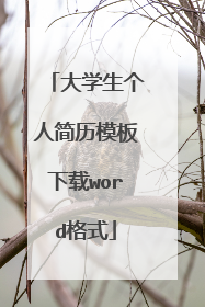 大学生个人简历模板下载word格式