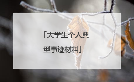 大学生个人典型事迹材料