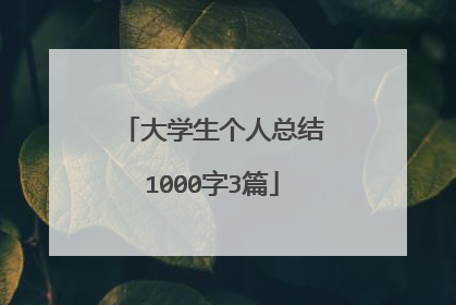 大学生个人总结1000字3篇