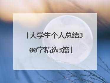 大学生个人总结300字精选3篇