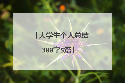 大学生个人总结300字5篇