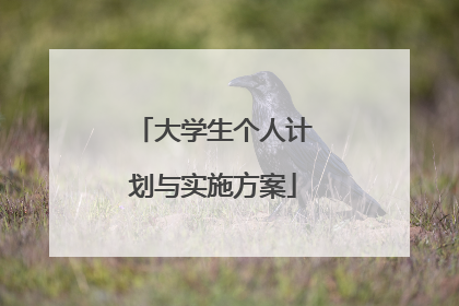 大学生个人计划与实施方案